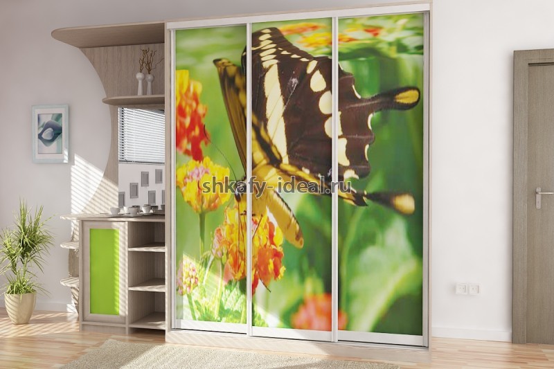 shop1651